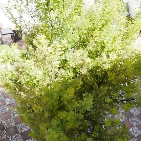 La Perla Blanca - Vendégház