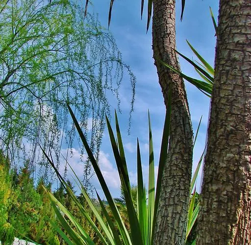 Πανσιόν La Perla Blanca - Ρόντα