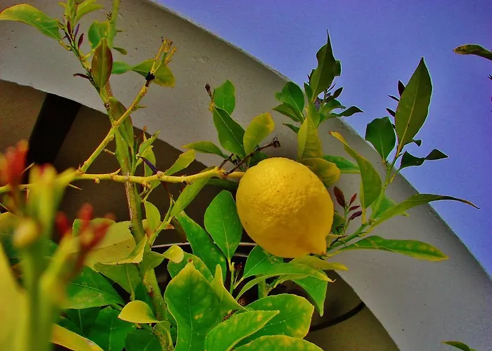 La Perla Blanca - 3* Ronda