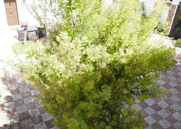 La Perla Blanca - Vendégház