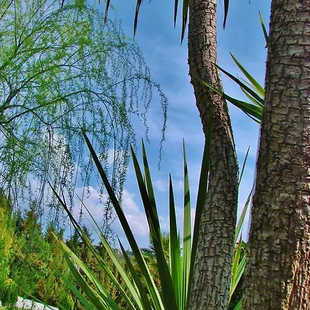 Gasthof La Perla Blanca - Ronda