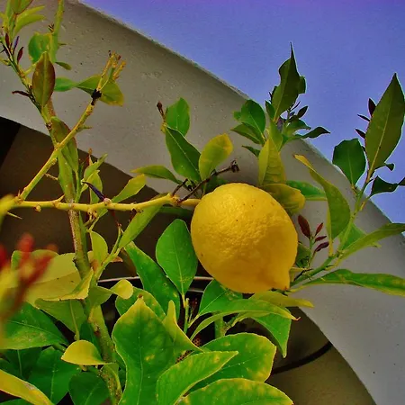 La Perla Blanca - 3* Ronda