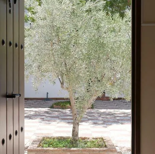 Affittacamere La Perla Blanca - Ronda