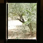 La Perla Blanca - Pensjonat 3*