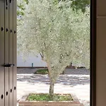 Pensjonat La Perla Blanca - Ronda