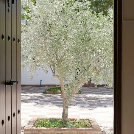 Vendégház La Perla Blanca - Ronda